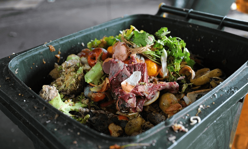 Wasting food means all those other emissions that were generated to produce the food in the first place go to waste as well (Photo: File) 
