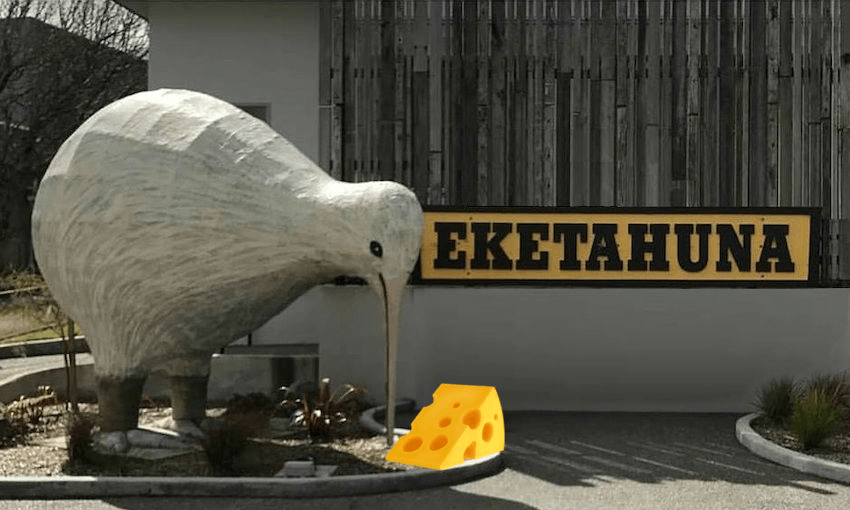eketahuna kiwi with cheese 
