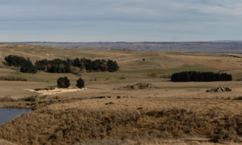 Land around Foulden Maar where the proposed mining would take place (Image: Kimberley Collins, Creative Commons)