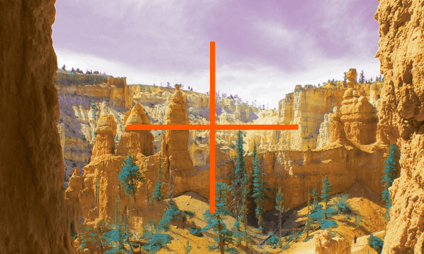 The NZSO Shed Series is classical music at its most intimate – and accessible. 
