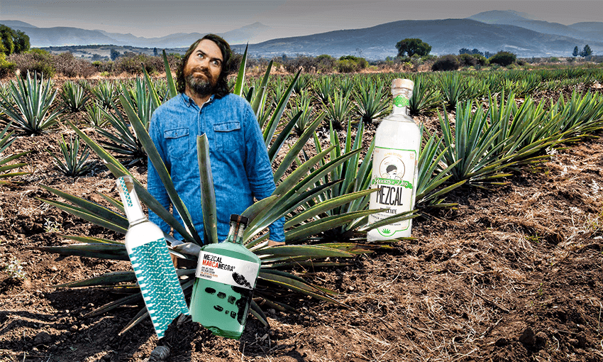 Image: Anna Briggs Photography/ Getty Images/Tina Tiller 
