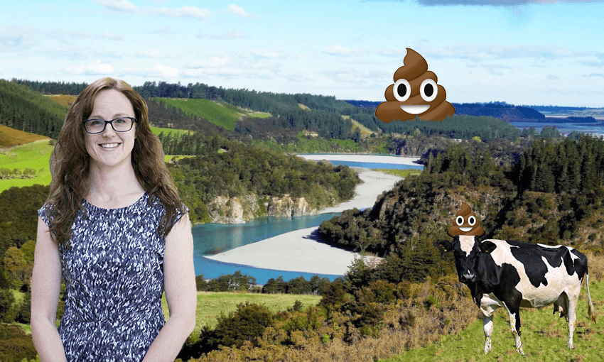 Dr Anna Garden’s alternative experimentation process may just be the answer to New Zealand’s nitrate problem.  
