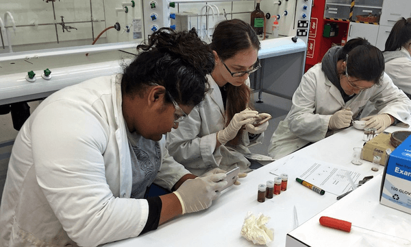 Students at DiscoveryCamp at Otago University in 2019. Photo: Supplied. 
