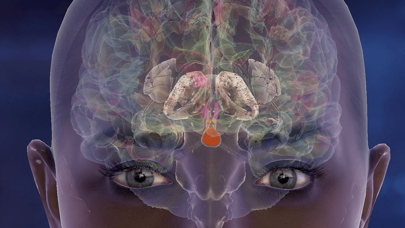 Companies are striving to humanise computers in such a way to make some work obsolete. Photo: Soul Machines