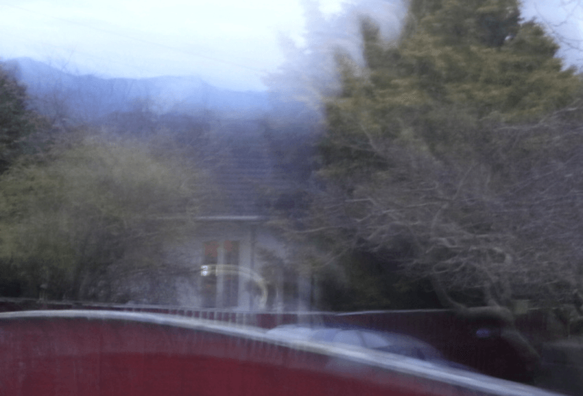 On Levin, and grandmothers: an essay by Ruby Porter