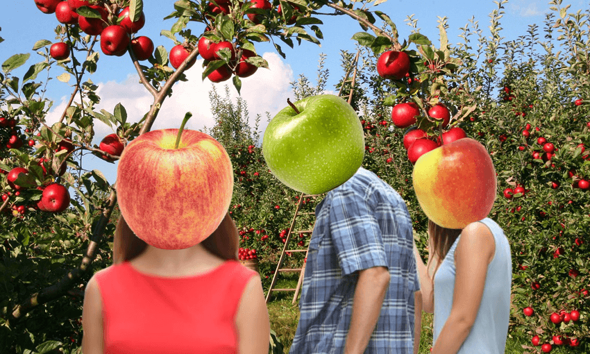 apples as the distracted boyfriend meme
