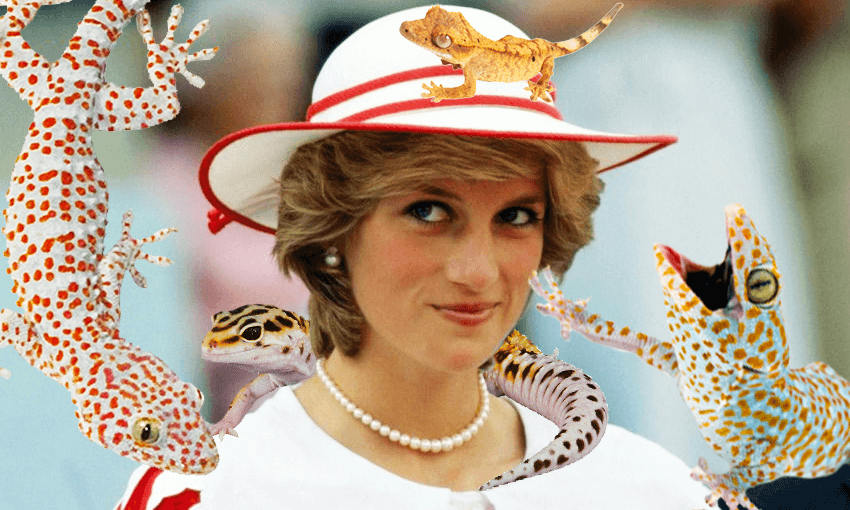 Princess Diana and geckos both made appearances in the world of weird news this week