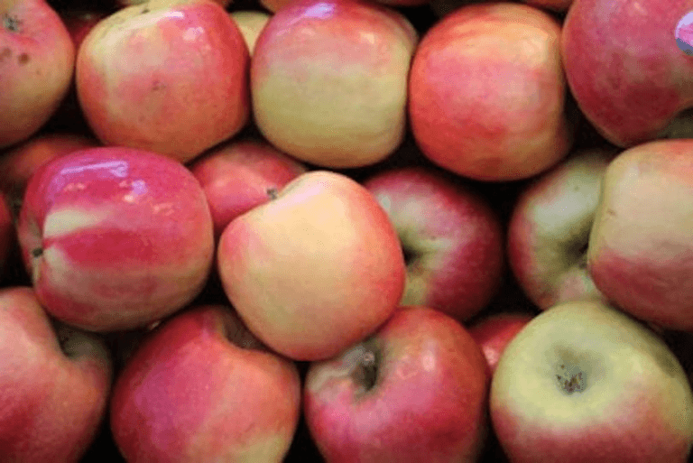 A Definitive Ranking Of The Apples Of New Zealand The Spinoff