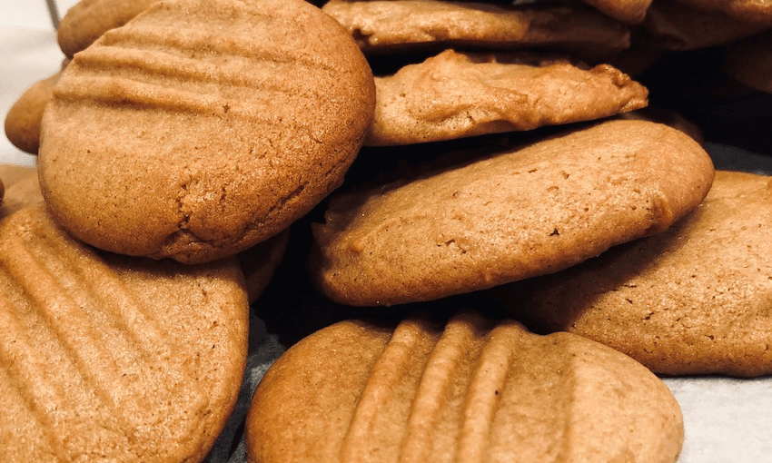 are gingernut biscuits bad for dogs