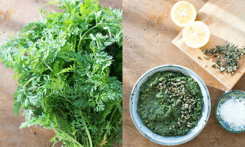 Turn feathery carrot tops into a delicious pesto (Photos: Emma Boyd) 

