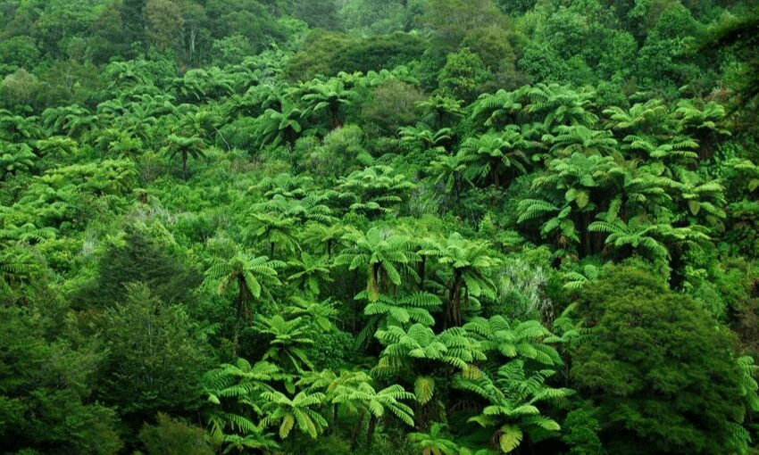 Photo: LazingBee/Getty 
