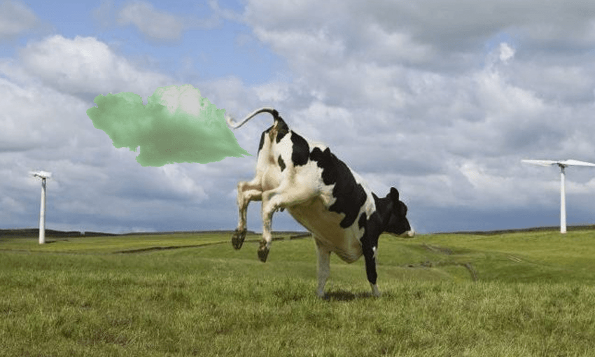 farting cow (methane) 
