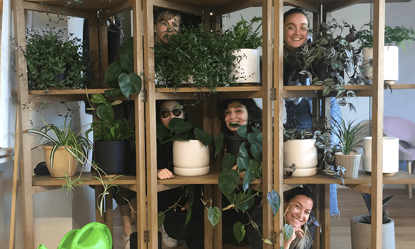 Pure plant-powered machines (Photo: Toby Morris) 
