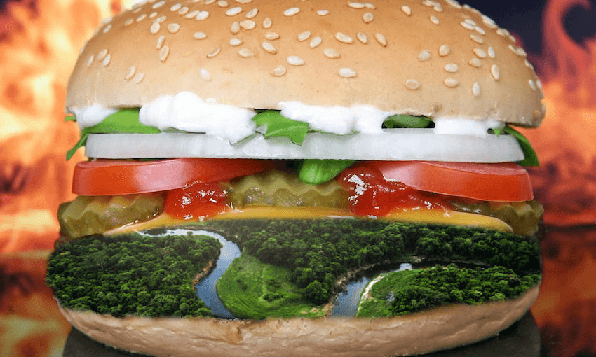 amazon rainforest inside a burger 
