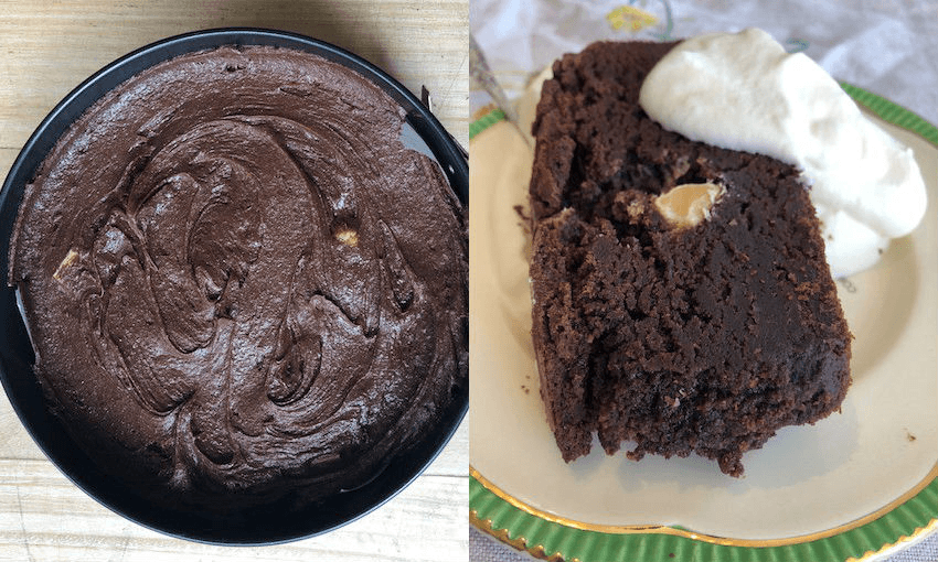 Damn (Photos: Amanda Thompson) 
