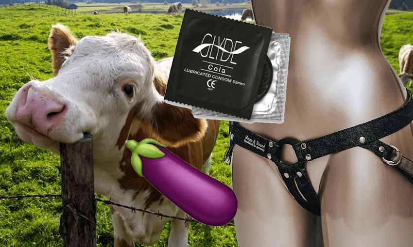 The rise of the ethical sex toy industry | The Spinoff