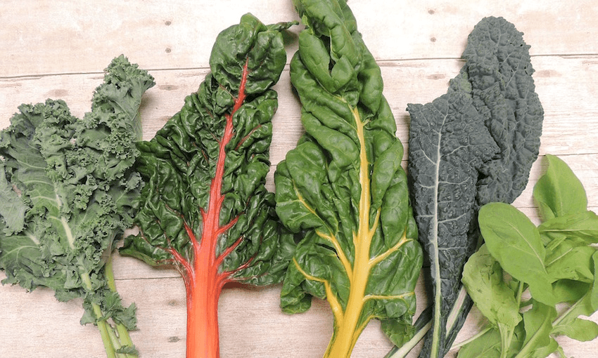 Plant seedlings on the Mahuru full moon (Sept 14) and your garden will thrive.