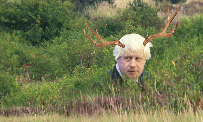 What is Boris Johnson? An evolutionary biologist had the perfect term