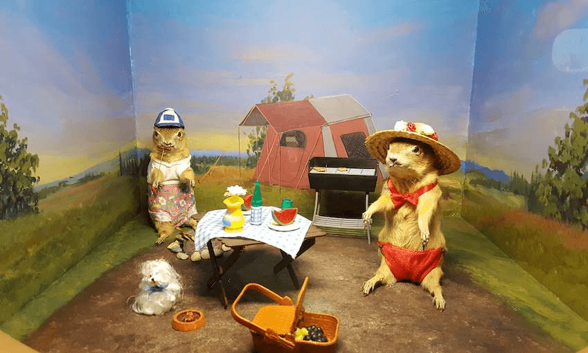 A diorama from the Torrington Gopher Hole Museum, Canada. Photo: Mirjam Guesgen 
