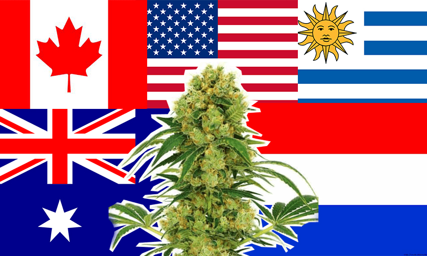 Budflags