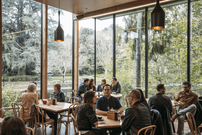 People dining in a sunny, high-ceilinged dining room at Nelson's Suter Art Gallery Cafe.