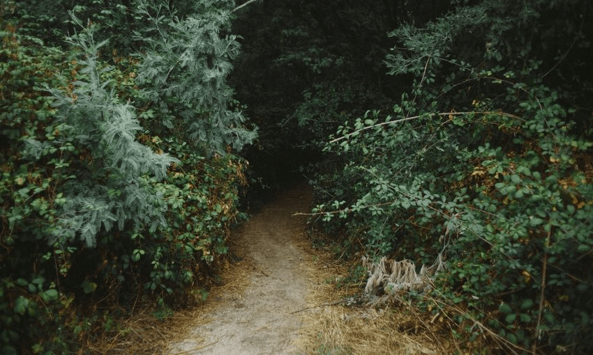 Photo: C_sar Carduso, via Getty 
