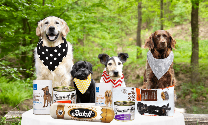 dogs eating food dog food review 
