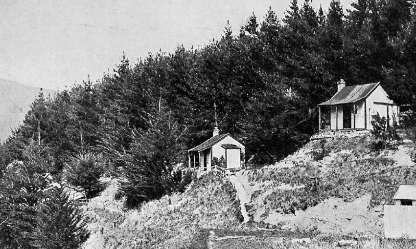 The Quail Island colony in 1911, showing huts for leprosy patients among the trees. (Auckland Libraries Heritage collections, AWNS-19111026-16-2) 
