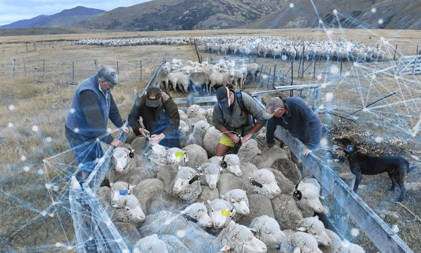 Ag tech in action (Getty Images).