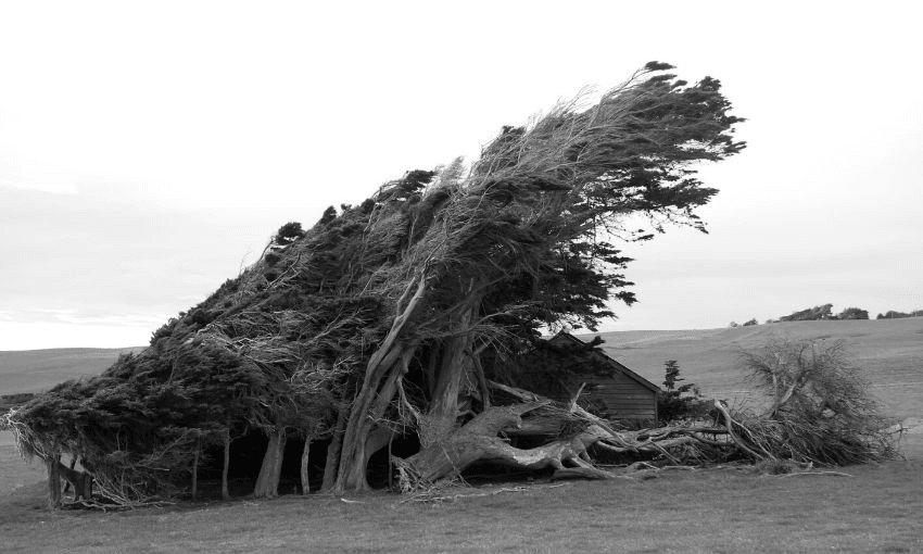 Image by Daren Grover for iStock/Getty