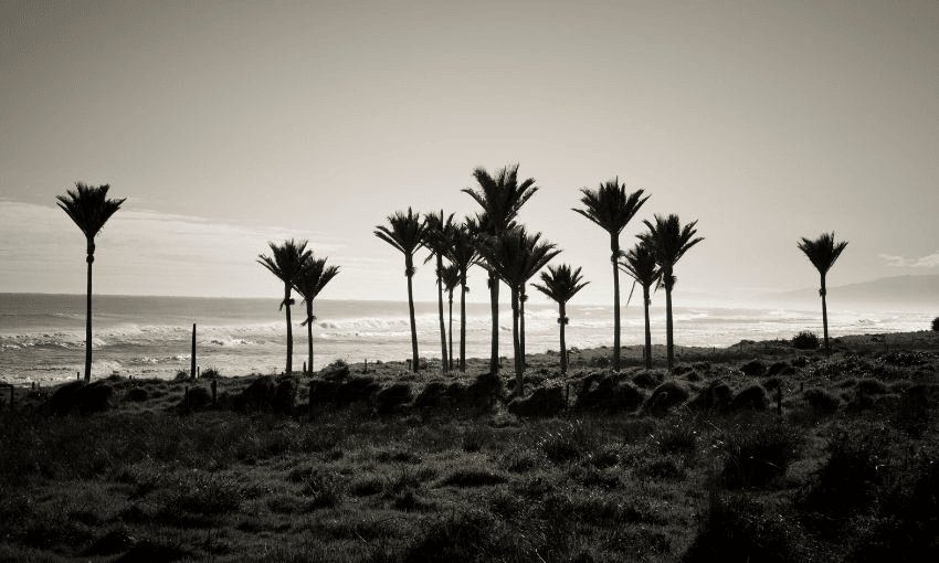 Image: Enjoynz/Getty 
