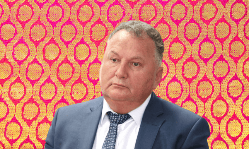 Shane Jones has singled out Indians. Again. Photograph: Hagen Hopkins/Getty Images 
