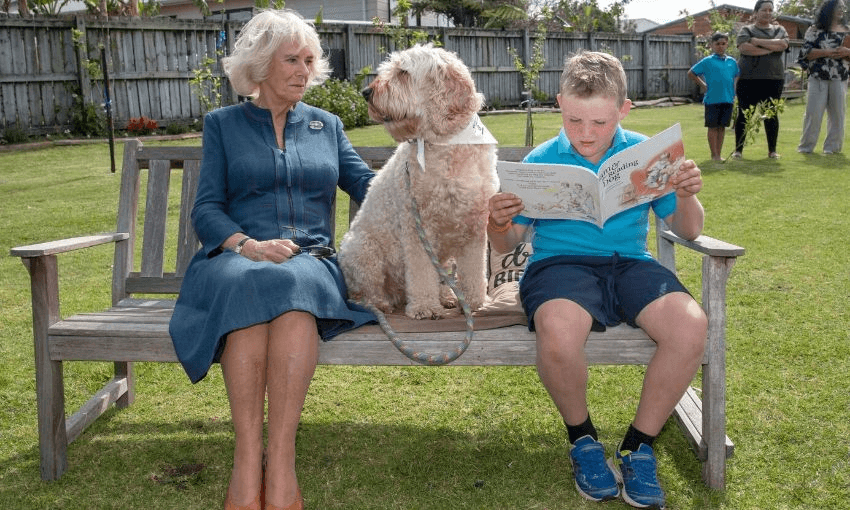 Amazing photo of a boy reading on a bench, with a big dog beside him and on the other side of the dog, Camilla, Duchess of Cornwall.