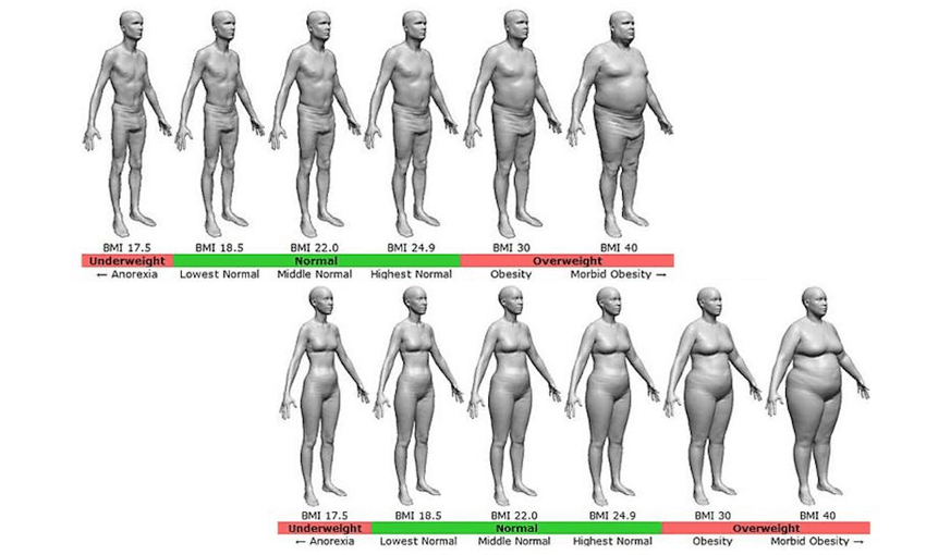 Chart showing different body shapes according to BMI score