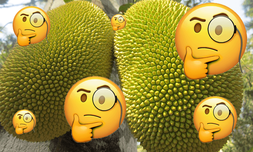 jackfruit