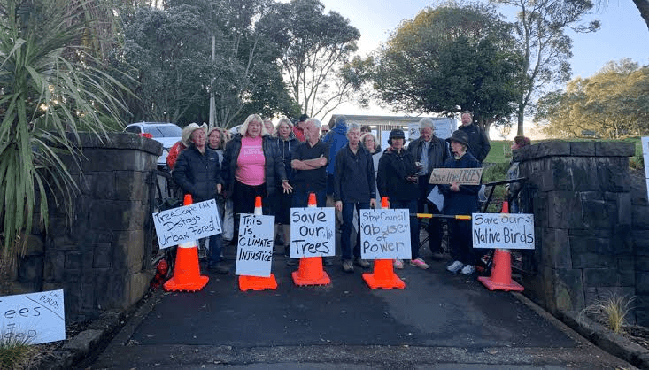 mt albert protest