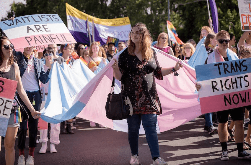 Pride marchers carry extremely large transgender pride flag, while others carry signs reading “waitlists are painful” and “trans rights now!”