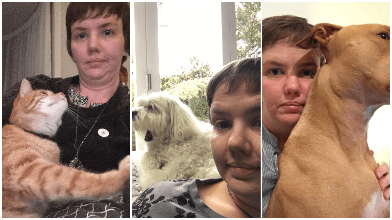 The fascinating life of a permanent house sitter