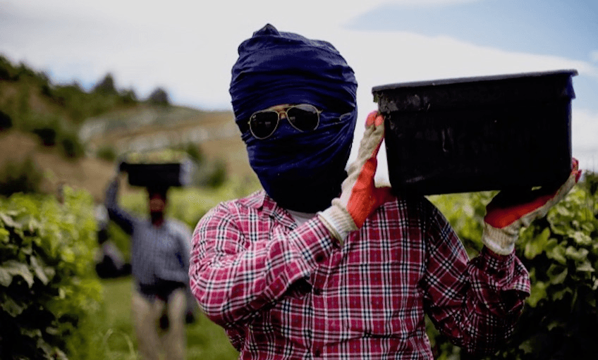 Richard Brimer: Harvest, Hastings Art Gallery, 2019. 
