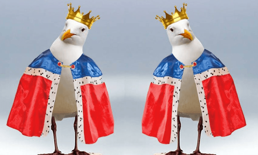 Sorry, it’s not the seagull.