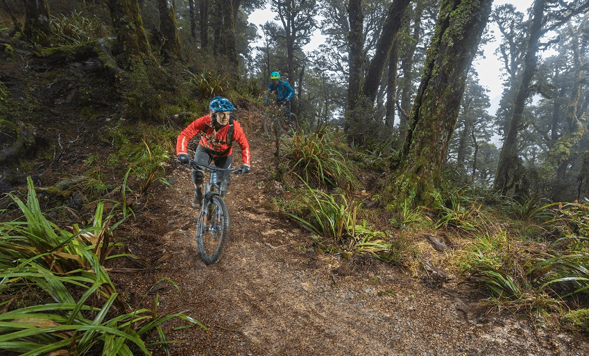 The newly opened Paparoa Track is providing an economic boost to Blackball. (Photo: Jase Blair/Katabatic Creative Ltd.) 
