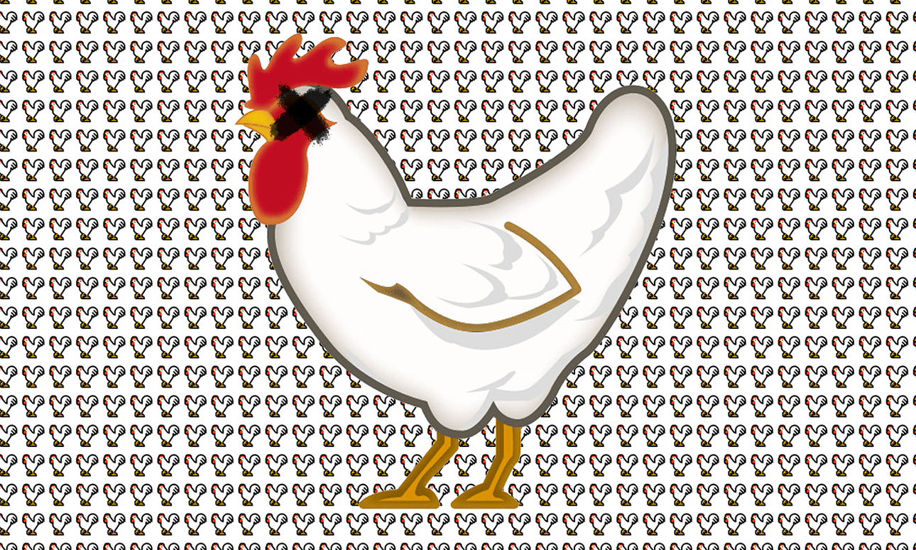 dead chickens header