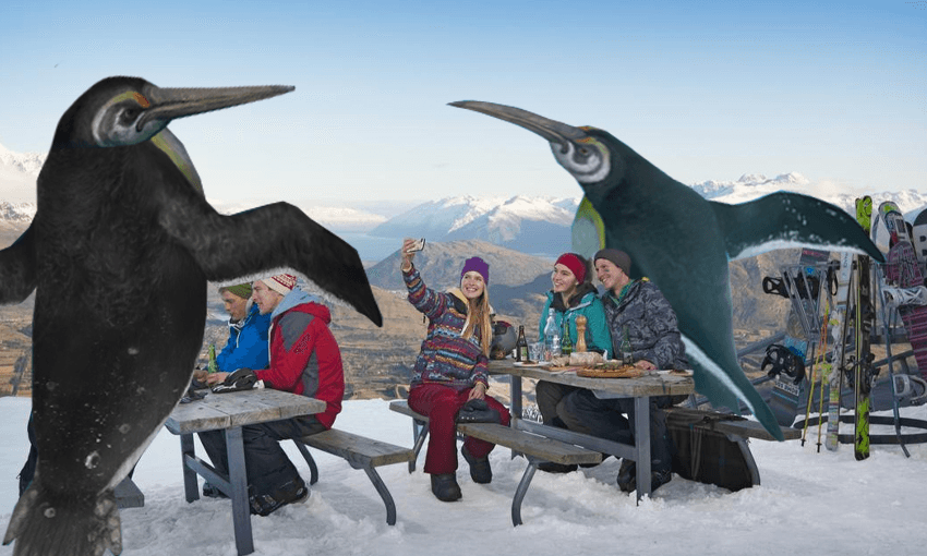 Artist’s rendition of Kupoupou. Note: it did not live in snow, nor at the same time as humans. 
