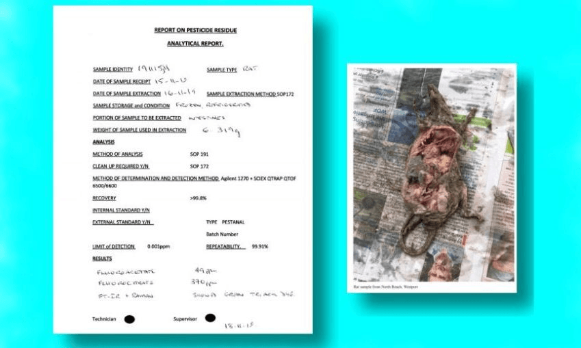 Pages from the report published by Flora and Fauna NZ 
