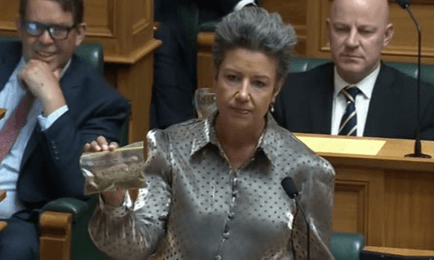 Blazed: Paula Bennett in parliament with 14 grams of Coromandel Gold (oregano) 
