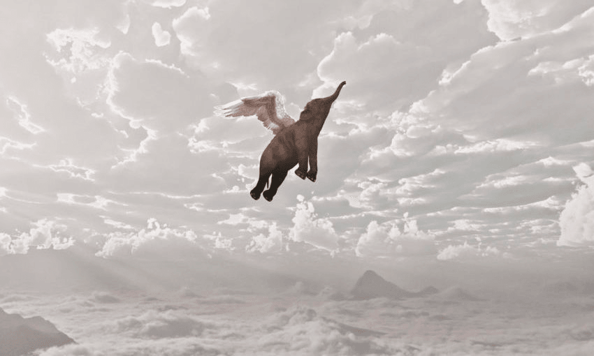 Elephants might not fly. Image: Donald Iain Smith/Getty 
