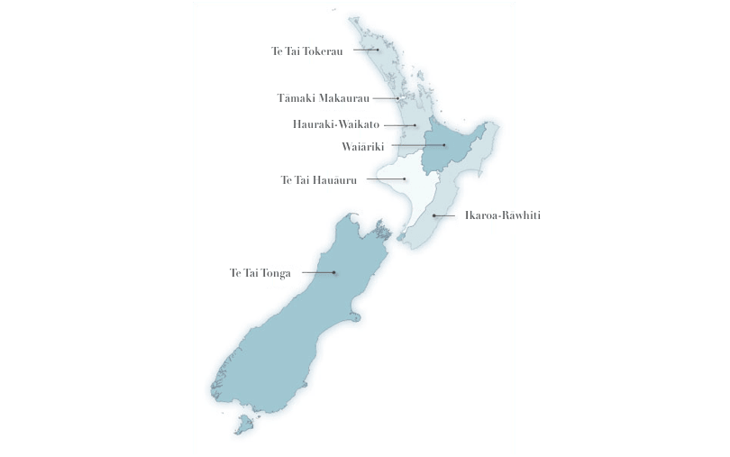a map of the maori electorates