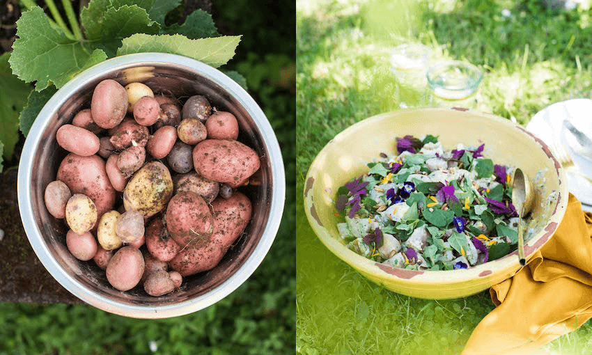 Have you ever seen a prettier potato salad? (Photo: Emma Boyd)