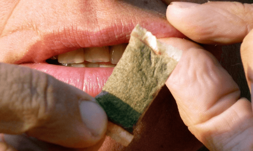 A snus user about to put the pouch in their mouth (Getty Images)