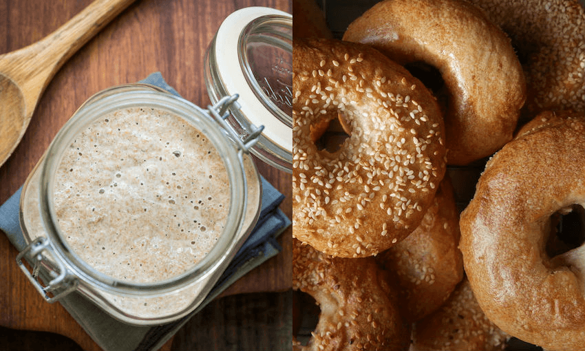 An active sourdough starter and sourdough bagels (Photos: Getty Images/Jane Lyons) 
